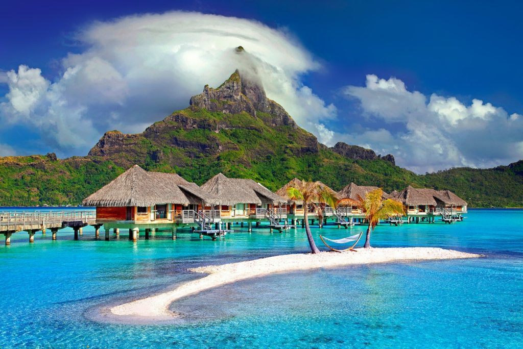 La faune et la flore de tahiti