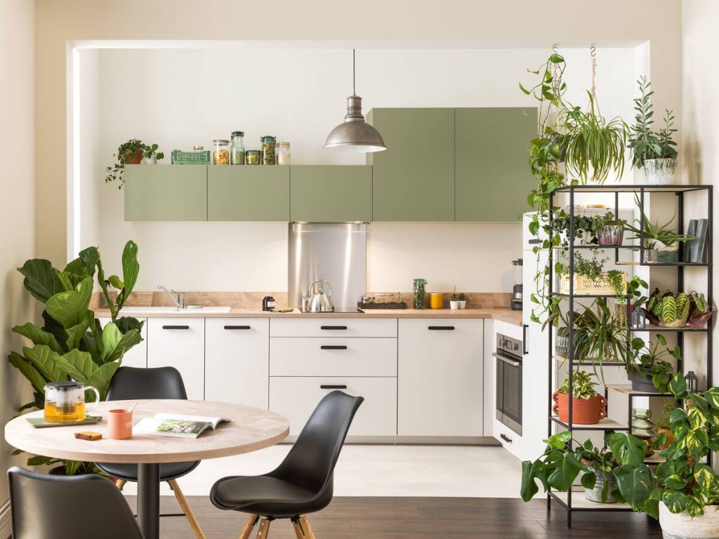Cuisine blanche avec plantes vertes