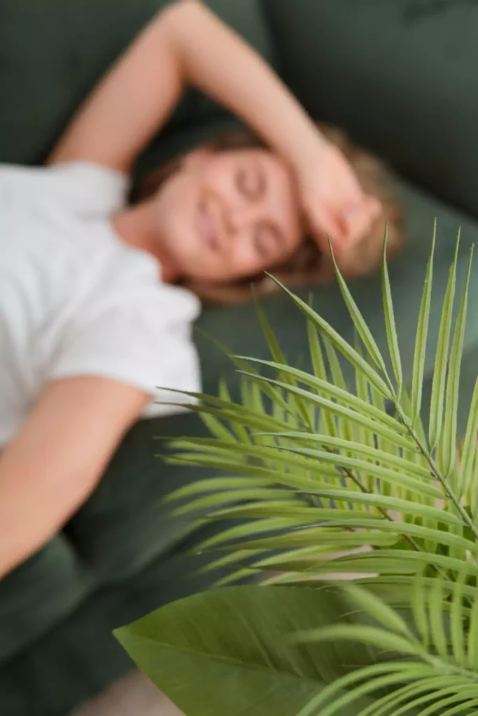 CBD sommeil