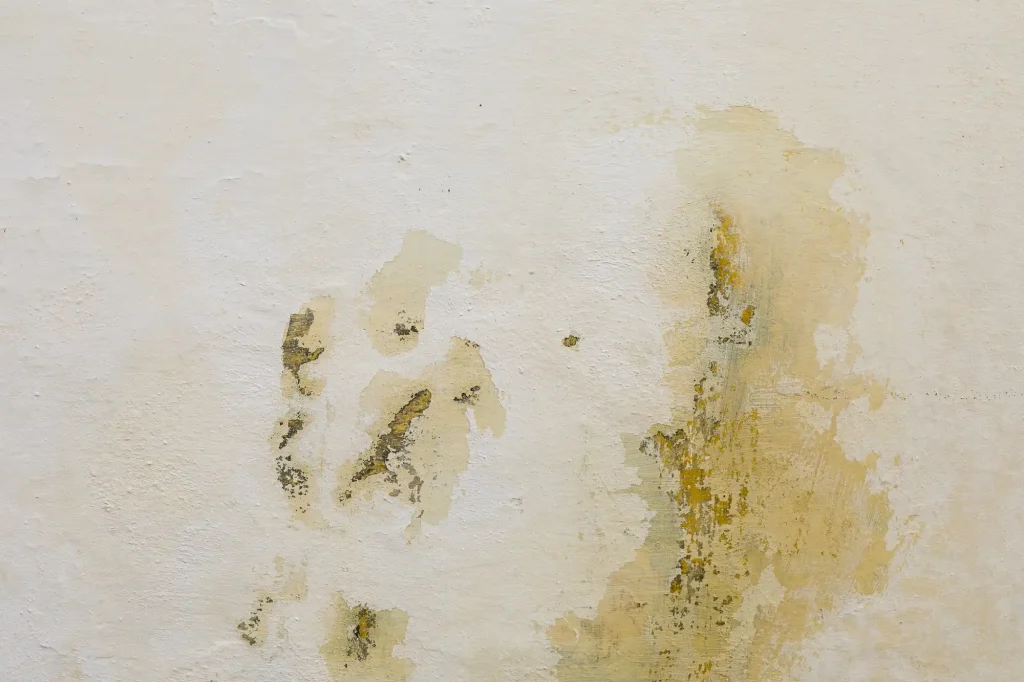 Condensation sous toiture